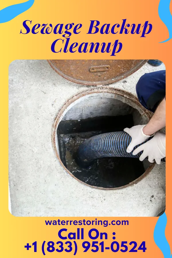 Sewage Backup Cleanup in Asharoken, NY