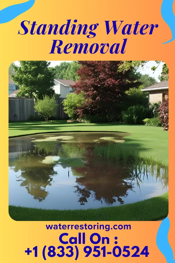 Standing Water Removal in Asharoken, NY